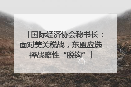 国际经济协会秘书长：面对美关税战，东盟应选择战略性“脱钩”
