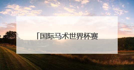 国际马术世界杯赛在武汉收官 547对人马飞跃英雄城