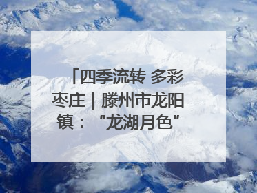 四季流转 多彩枣庄｜滕州市龙阳镇：“龙湖月色”向日葵花海 绘就乡村振兴新画卷