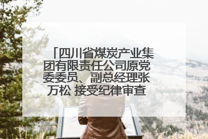 四川省煤炭产业集团有限责任公司原党委委员、副总经理张万松 接受纪律审查和监察调查