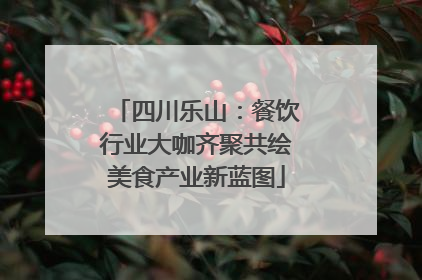 四川乐山：餐饮行业大咖齐聚共绘美食产业新蓝图