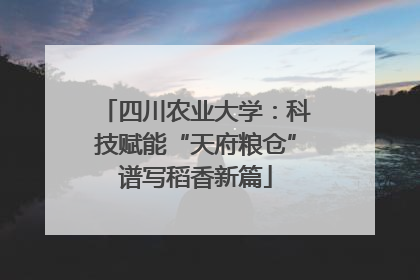四川农业大学：科技赋能“天府粮仓”谱写稻香新篇