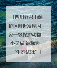 四川老君山保护区附近发现国家一级保护动物小灵猫 被称为“生态试纸”