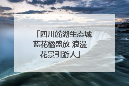 四川麓湖生态城蓝花楹盛放 浪漫花景引游人