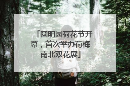 圆明园荷花节开幕，首次举办荷梅南北双花展
