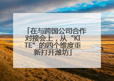 在与跨国公司合作对接会上，从“KITE”的四个维度重新打开潍坊