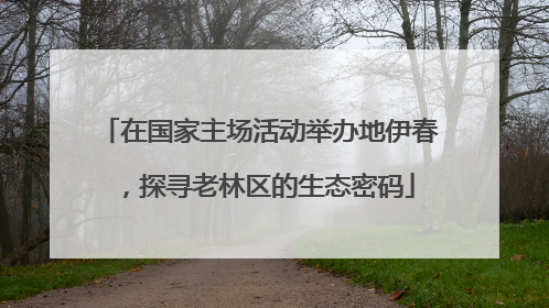 在国家主场活动举办地伊春，探寻老林区的生态密码