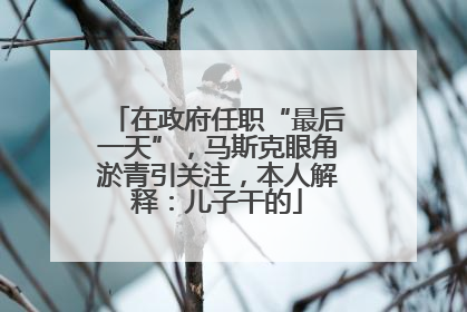 在政府任职“最后一天”，马斯克眼角淤青引关注，本人解释：儿子干的