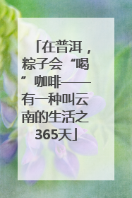 在普洱，粽子会“喝”咖啡——有一种叫云南的生活之365天