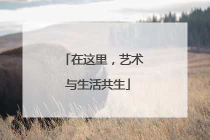 在这里，艺术与生活共生