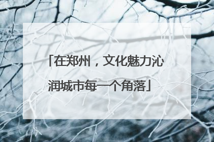 在郑州，文化魅力沁润城市每一个角落