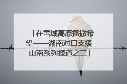 在雪域高原播撒希望——湖南对口支援山南系列报道之三