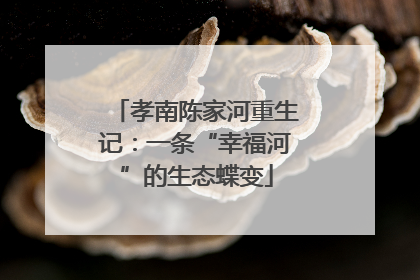 孝南陈家河重生记：一条“幸福河”的生态蝶变