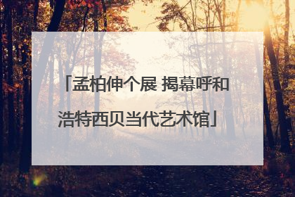 孟柏伸个展 揭幕呼和浩特西贝当代艺术馆