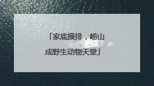 家底摸排，崂山成野生动物天堂