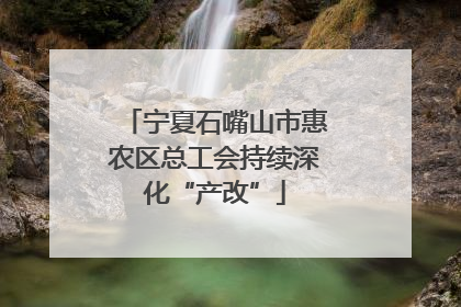 宁夏石嘴山市惠农区总工会持续深化“产改”