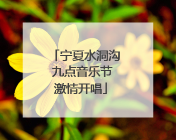 宁夏水洞沟 九点音乐节激情开唱