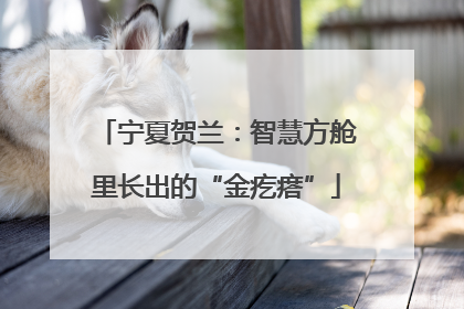 宁夏贺兰：智慧方舱里长出的“金疙瘩”