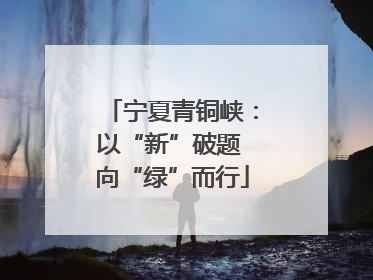 宁夏青铜峡：以“新”破题 向“绿”而行