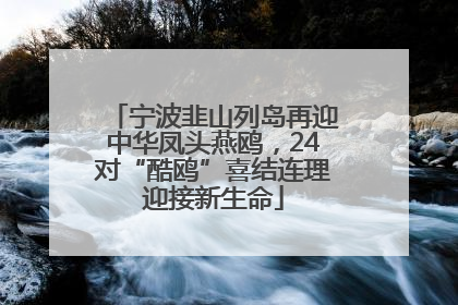 宁波韭山列岛再迎中华凤头燕鸥，24对“酷鸥”喜结连理迎接新生命