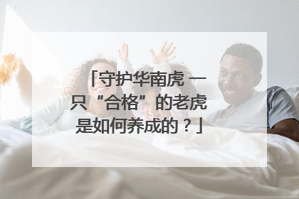 守护华南虎 一只“合格”的老虎是如何养成的？