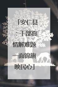 安仁县：干部真情解难题一面锦旗映民心