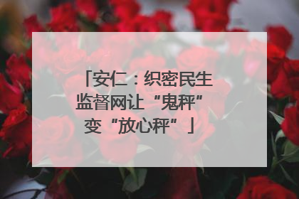 安仁：织密民生监督网让“鬼秤”变“放心秤”