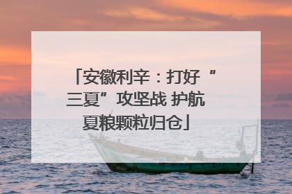 安徽利辛：打好“三夏”攻坚战 护航夏粮颗粒归仓