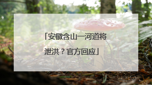 安徽含山一河道将泄洪？官方回应