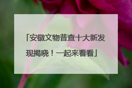 安徽文物普查十大新发现揭晓！一起来看看
