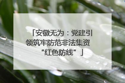 安徽无为：党建引领筑牢防范非法集资“红色防线”