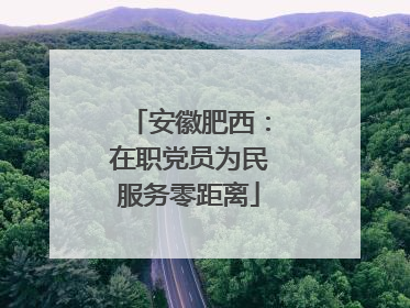 安徽肥西：在职党员为民服务零距离