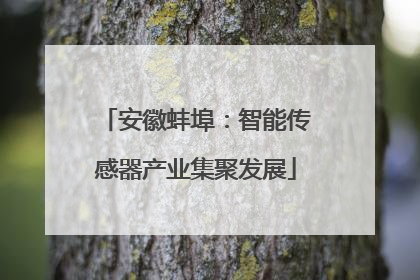 安徽蚌埠：智能传感器产业集聚发展