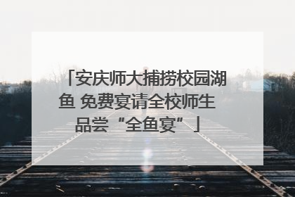 安庆师大捕捞校园湖鱼 免费宴请全校师生品尝“全鱼宴”