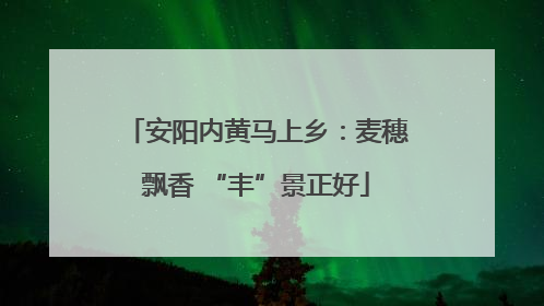 安阳内黄马上乡：麦穗飘香 “丰”景正好
