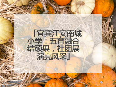 宜宾江安南城小学：五育融合结硕果，社团展演亮风采