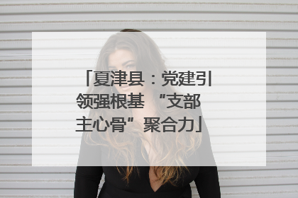 夏津县：党建引领强根基 “支部主心骨”聚合力