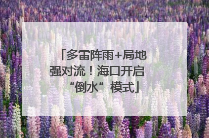 多雷阵雨+局地强对流！海口开启“倒水”模式