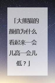 大熊猫的颜值为什么看起来一会儿高一会儿低？