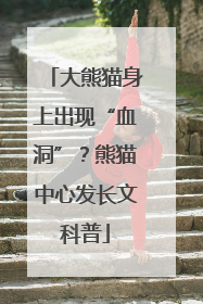 大熊猫身上出现“血洞”？熊猫中心发长文科普