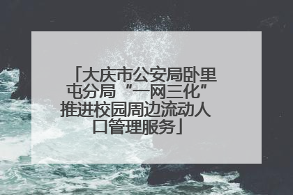 大庆市公安局卧里屯分局“一网三化”推进校园周边流动人口管理服务