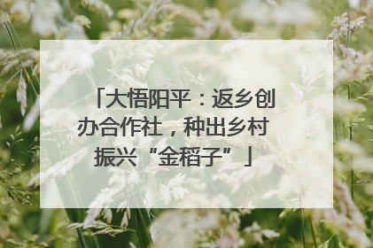 大悟阳平：返乡创办合作社，种出乡村振兴“金稻子”