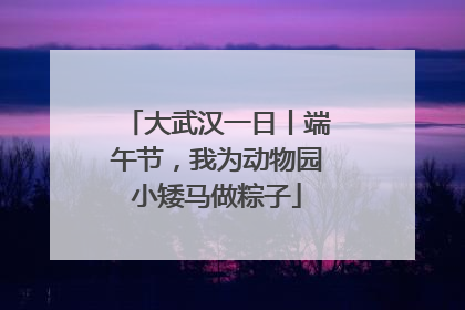 大武汉一日丨端午节，我为动物园小矮马做粽子