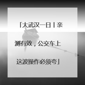 大武汉一日丨亲测有效，公交车上这波操作必须夸