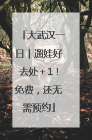 大武汉一日︱遛娃好去处＋1！免费，还无需预约