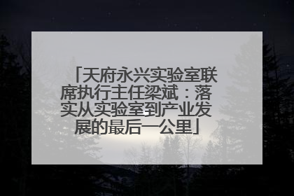 天府永兴实验室联席执行主任梁斌：落实从实验室到产业发展的最后一公里