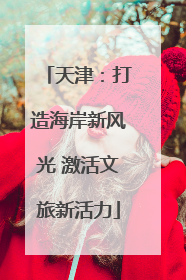 天津：打造海岸新风光 激活文旅新活力