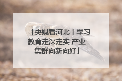 央媒看河北丨学习教育走深走实 产业集群向新向好
