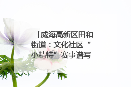 威海高新区田和街道：文化社区“小精特”赛事谱写文化赋能新乐章