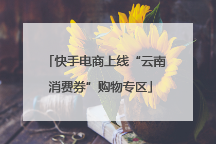 快手电商上线“云南消费券”购物专区